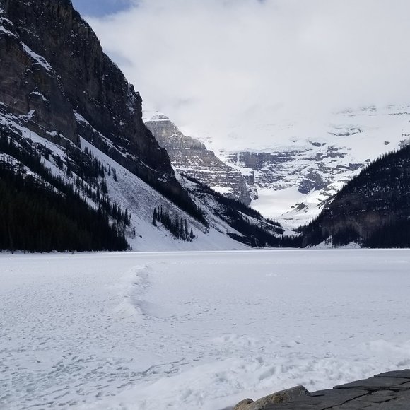 Meet your Posher, Nadia - Picture 1 of 1